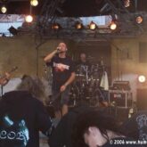 My Gallery (5/93)