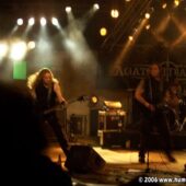 My Gallery (65/93)