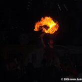 My Gallery (68/131)