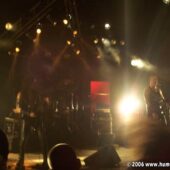 My Gallery (128/131)