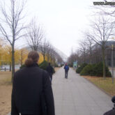 My Gallery (10/33)