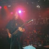 My Gallery (36/96)