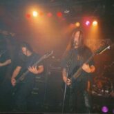 My Gallery (37/96)